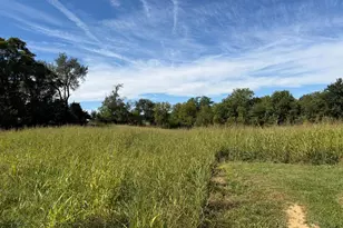 1518 Hughes Shop Rd, Westminster, MD 21158 - Photo 46