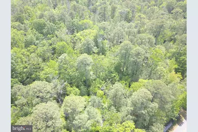 Parsons Drive, Madison, MD 21648 - Photo 16