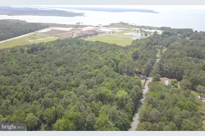 Parsons Drive, Madison, MD 21648 - Photo 18