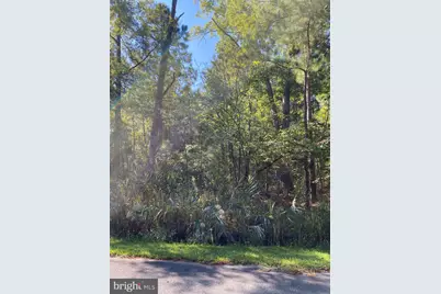 Parsons Drive, Madison, MD 21648 - Photo 1