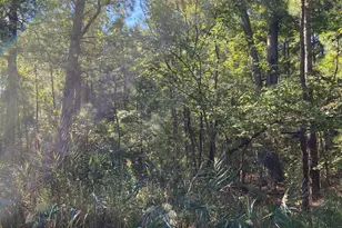 Parsons Dr, Madison, MD 21648 - Photo 1