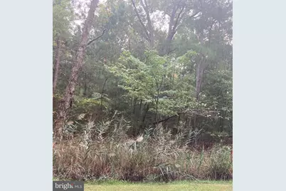 Parsons Drive, Madison, MD 21648 - Photo 8