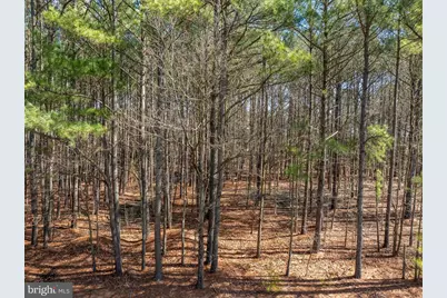 5223 Heron Road, Cambridge, MD 21613 - Photo 12