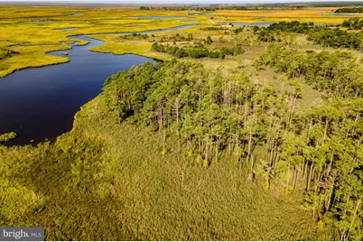 Griffith Neck Road, Cambridge, MD 21613 - Photo 14