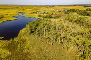 Griffith Neck Rd, Cambridge, MD 21613 - Photo 14