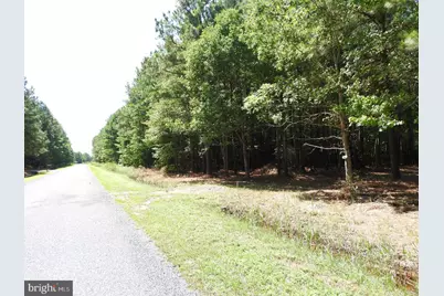 5226 Heron Road, Cambridge, MD 21613 - Photo 10