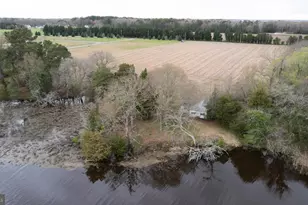 5631 Cedar Grove Rd, East New Market, MD 21631 - Photo 8