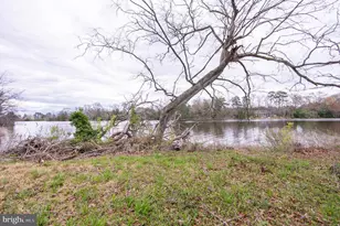 5631 Cedar Grove Rd, East New Market, MD 21631 - Photo 10