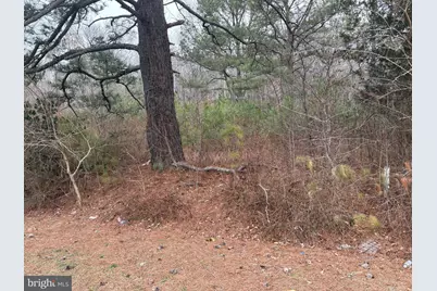 3634 Ocean Gateway, East New Market, MD 21631 - Photo 2