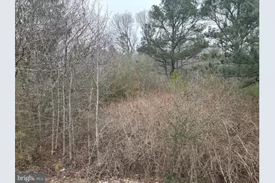 3634 Ocean Gateway, East New Market, MD 21631 - Photo 4