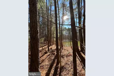 0 Laurie Lane, Woolford, MD 21677 - Photo 6