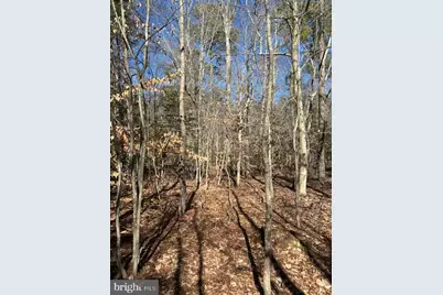 0 Laurie Lane, Woolford, MD 21677 - Photo 22