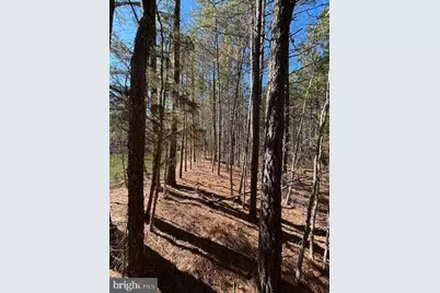 0 Laurie Lane, Woolford, MD 21677 - Photo 10