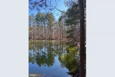 0 Laurie Lane, Woolford, MD 21677 - Photo 12