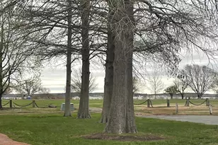 3 Talbot Ave, Cambridge, MD 21613 - Photo 2