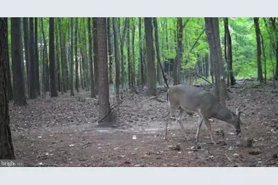 N S Dailsville Road, Cambridge, MD 21613 - Photo 4