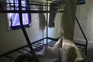 511 Pine St, Cambridge, MD 21613 - Photo 10