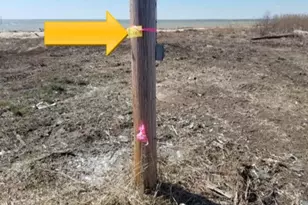 1826 Hoopersville, Fishing Creek, MD 21634 - Photo 92