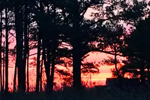 1826 Hoopersville, Fishing Creek, MD 21634 - Photo 110