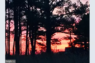 1826 Hoopersville, Fishing Creek, MD 21634 - Photo 92