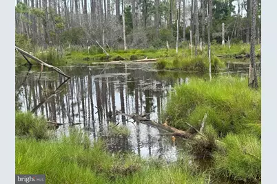 Farm Creek, Wingate, MD 21675 - Photo 2