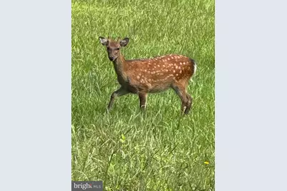 Farm Creek, Wingate, MD 21675 - Photo 6