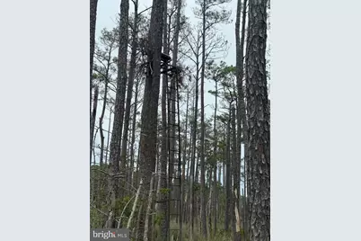 Farm Creek, Wingate, MD 21675 - Photo 4