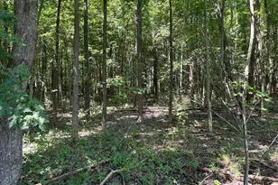 2420 Cambridge Beltway, Cambridge, MD 21613 - Photo 24