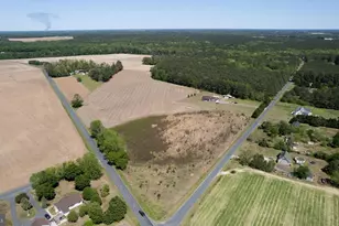 6108 Delaware Line-Reliance, Rhodesdale, MD 21659 - Photo 32