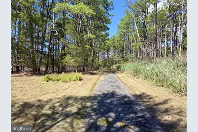 Brady Todd Rd, Crocheron, MD 21627 - Photo 1