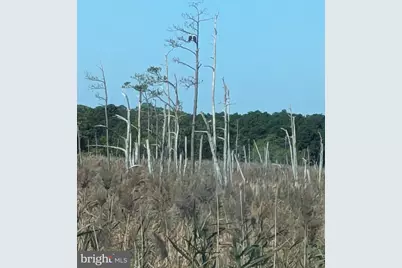 0 Goose Creek Road, Toddville, MD 21672 - Photo 2