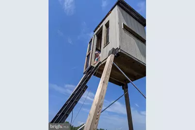 0 Goose Creek Road, Toddville, MD 21672 - Photo 8