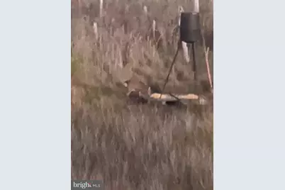 0 Goose Creek Road, Toddville, MD 21672 - Photo 10