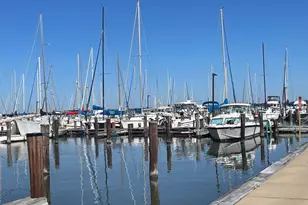 817 Locust St, Cambridge, MD 21613 - Photo 34