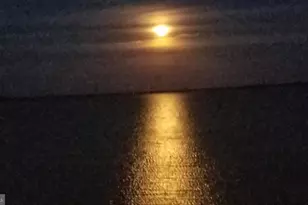 3313 Belfiore Rd, Church Creek, MD 21622 - Photo 4