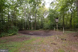 3844 Wrights Wharf Rd, Hurlock, MD 21643 - Photo 38