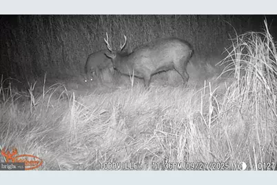 2707 Toddville Road, Toddville, MD 21672 - Photo 22