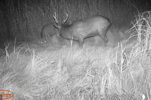 2703 Toddville Rd, Toddville, MD 21672 - Photo 22