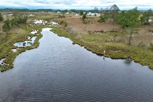 2703 Toddville Rd, Toddville, MD 21672 - Photo 24