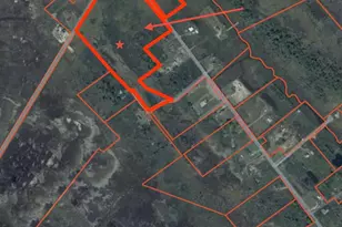 2703 Toddville Rd, Toddville, MD 21672 - Photo 46