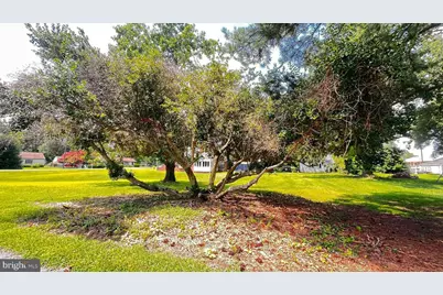 201 Buena Vista Avenue, Cambridge, MD 21613 - Photo 16