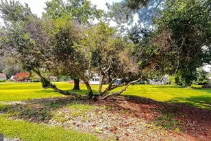 201 Buena Vista Ave, Cambridge, MD 21613 - Photo 16