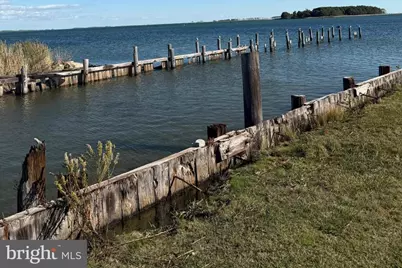 1631 Steamboat Wharf, Fishing Creek, MD 21634 - Photo 30