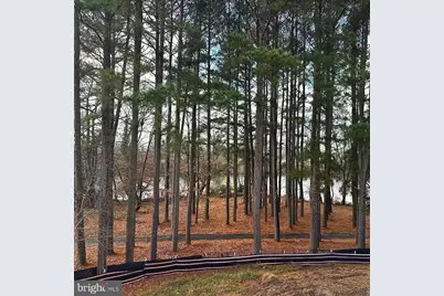 Homesite 68 Marsh Elder Road, Cambridge, MD 21613 - Photo 16