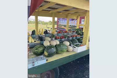 2703 Toddville Road, Toddville, MD 21672 - Photo 50