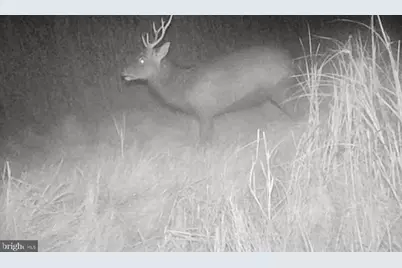 2703 Toddville Road, Toddville, MD 21672 - Photo 30