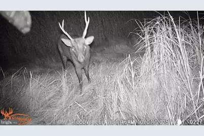 2703 Toddville Road, Toddville, MD 21672 - Photo 16