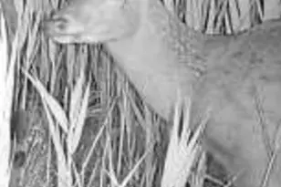 2726 Toddville Rd, Toddville, MD 21672 - Photo 14