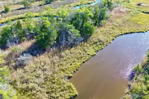 2726 Toddville Rd, Toddville, MD 21672 - Photo 10