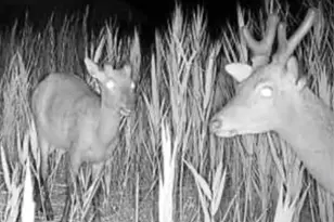 2726 Toddville Rd, Toddville, MD 21672 - Photo 6